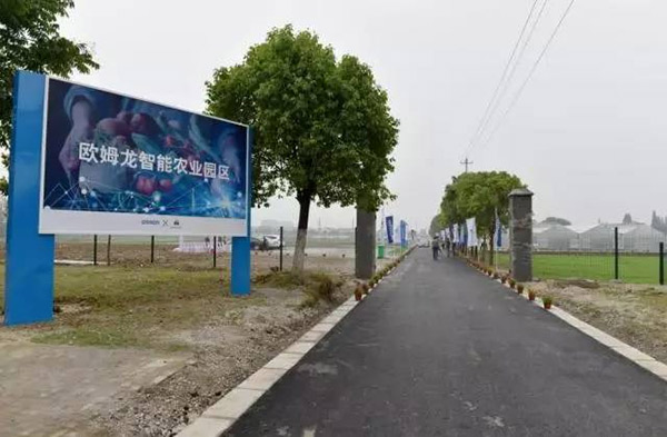 歐姆龍集團農業園大棚恒溫項目